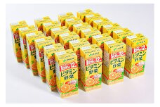 伊藤園 ビタミン野菜 200ml×24本（1ケース） 栄養機能食品 ／ 野菜ジュース 野菜 ジュース ミックスジュース 果物 栄養 健康 紙パック 国内製造　012-G-IT002