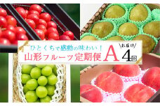 特秀品Aコース【定期便4回】【減農薬栽培】 さくらんぼ 佐藤錦 白桃 シャインマスカット 洋梨 ラフランス 令和7年産 【2025年6月上旬頃から発送開始予定】 　072-B-AF028