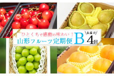 特秀品Bコース【定期便4回】【減農薬栽培】フルーツ定期便 さくらんぼ 紅秀峰 黄桃  シャインマスカット 洋梨 ラネージュ 令和7年産 【2025年6月中旬頃から発送開始予定】　078-B-AF029