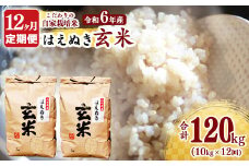 【令和6年産】《12回定期便：2024年10月開始》はえぬき 玄米 合計120kg（10kg（5kg×2袋）×12回） 山形県産 【 減農薬栽培 新米 】　144-C-JF019