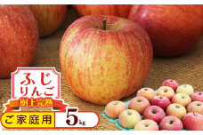 《訳あり》ご家庭用 ふじりんご 5kg 山形県産 2025年産 令和7年産 【2025年12月頃より順次発送予定】（フードロス対応・食品ロス・規格外・SDGs・生産者支援）　010-B-NG009
