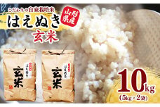 《減農薬栽培》【2024年産米】玄米 10kg 「はえぬき」(5kg×2袋) 　2024年産(令和6年産)　【2024年10月頃より発送予定】　012-C-JF006-2024