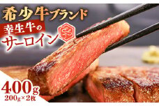 【45営業日以内配送】幸せを運ぶ牛《幸生牛》希少牛 サーロインステーキ 400g（200g×2枚） 025-D-YL038