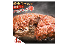 【45営業日以内配送】幸せを運ぶ牛《幸生牛》希少牛 ハンバーグ 150g×4個　008-D-YL056
