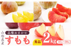 山形産 すもも 2kg (16玉～20玉) 【2025年8月中旬頃～9月下旬頃発送予定】　011-B-JA038