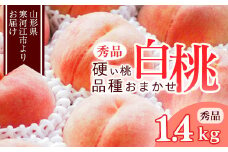 山形の硬い桃 秀品 1.4kg（4 - 6玉） 品種おまかせ 秀品 山形県産【2025年8月中旬頃から9月下旬頃発送予定】2025年産 令和7年産　010-B-MM070