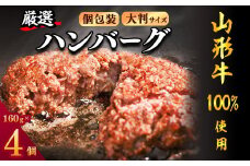 【45営業日以内配送】黒毛和牛「山形牛」100％ 贅沢 ハンバーグ （160g×4個）【調味料・保存料なし】　009-D-YL049