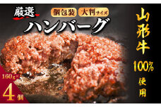 【45営業日以内配送】黒毛和牛「山形牛」100％ 贅沢 ハンバーグ （160g×4個）【調味料・保存料なし】　009-D-YL049