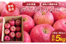 《 ご家庭用 》 サンふじ りんご 5kg 山形県産 (約10玉～20玉) 2025年産 令和7年産 【2025年11月下旬頃より順次発送予定】（フードロス対応・食品ロス・SDGs・生産者支援）　013-B-JF029