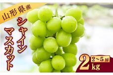 《山形県産》 新鮮 シャインマスカット 2kg（2房 - 5房）【2025年9月中旬～10月頃発送予定】　026-B-JA009