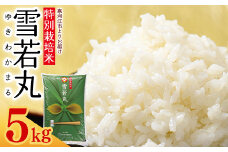 【特別栽培米】 雪若丸 5kg ／ 2024年産 令和6年産 山形県産 山形産 白米 精米 小分け 便利 弁当 ブランド米 ごはん ご飯 東北 国産 5キロ 山形県寒河江市　012-C-JA041
