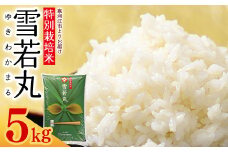 【特別栽培米】 雪若丸 5kg ／ 2024年産 令和6年産 山形県産 山形産 白米 精米 小分け 便利 弁当 ブランド米 ごはん ご飯 東北 国産 5キロ 山形県寒河江市　012-C-JA041