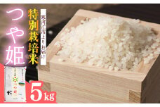【2025年8月前半】【特別栽培米】 つや姫 5kg ／ 2024年産 令和6年産 山形県産 山形産 白米 精米 小分け 便利 弁当 ブランド米 ごはん ご飯 東北 国産 5キロ 山形県寒河江市　013-C-JA032-08前