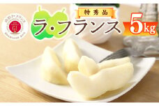 【先行予約】令和7年産 特秀品 「ラ・フランス」 5kg 《GI認証》 化粧箱入り サイズおまかせ 山形産 2025年産 【2025年11月中旬頃から12月末頃発送予定】　018-B-AF018