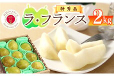 【先行予約】令和7年産 特秀品 「ラ・フランス」 2kg 《GI認証》 化粧箱入り サイズおまかせ 山形産 2025年産 【2025年11月中旬頃から12月末頃発送予定】　008-B-AF017