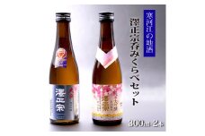 《寒河江の地酒》 澤正宗呑み比べセット 300ml×2本（ 純米大吟醸 純米吟醸 大辛 出羽の里）　0080-E-FR023