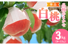 有機肥料栽培 白桃 3kg（8～13玉） 秀品 品種おまかせ 山形産 2025年産 令和7年産 山形県産 【2025年8月下旬頃～9月下旬頃発送予定】　016-B-AF024