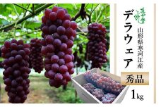 有機堆肥栽培 ぶどう「デラウェア」1kg（5～8房） 種なし 秀品 L～2Lサイズ 【2025年7月下旬頃～8月中旬頃発送予定】／ 2025年産 令和7年産 果物 フルーツ 葡萄 グレープ 産地直送 新鮮 デラウエア 東北 山形県産 山形産 寒河江市　007-B-SD001