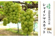 有機堆肥栽培 ぶどう「シャインマスカット」1.5kg（2～3房） 秀品 【2025年9月上旬頃～10月中旬頃発送予定】／ 2025年産 令和7年産 果物 フルーツ 葡萄 グレープ 産地直送 新鮮 真千堂 東北 山形県産 山形産 寒河江市　015-B-SD003