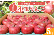 【先行予約】秀品 小玉りんご「サンふじ」 5kg （20 - 25玉入）【2026年1月上旬頃～下旬頃発送予定】　012-B-MM085