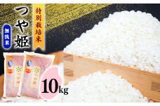 【2026年2月発送】無洗米 「つや姫」 10kg（5kg×2袋） 《特別栽培米》令和7年産 2025年産 ／ 人気 小分け 便利 節水 ブランド米 ごはん お米 ご飯 農家直送 生産者直送 山形産 山形県産 山形県 寒河江市 10キロ　036-C-SR006-202602
