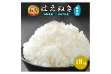 【令和7年産】新米 無洗米 はえぬき 8kg（4kg×2袋）2025年産 【2025年9月下旬頃から12月頃に順次発送予定】　027-C-JF034-2025