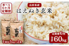 【令和7年産】《6回定期便：選べる配送時期》 はえぬき 玄米 合計60kg （10kg（5kg×2袋）× 6回） 山形県産 【 新米 】 140-C-JF017-毎月