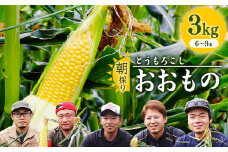 朝採り 農家直送 とうもろこし 3kg「おおもの」（6 - 9本） 山形産 【2025年8月上旬頃から9月下旬頃発送予定】　010-B-HK021