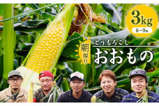 朝採り 農家直送 とうもろこし 3kg「おおもの」（6 - 9本） 山形産 【2025年8月上旬頃から9月下旬頃発送予定】※ 配送不可 沖縄・離島　010-B-HK021