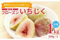 加工用 フローズン いちじく 1kg（ 500g × 2袋 ） 【2025年9月中旬から12月頃発送予定】　010-G-YW003