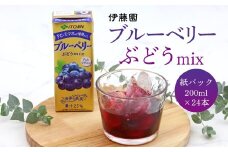 伊藤園 ブルーベリーぶどうmix 紙パック 200ml 24本 013-G-IT010