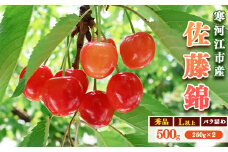 令和8年産 さくらんぼ「 佐藤錦 」500g (250g×2パック) 秀品 Lサイズ以上 2026年産 山形県産 【2026年6月上旬頃～下旬頃発送予定】※配送不可 沖縄・離島　012-A-AF020
