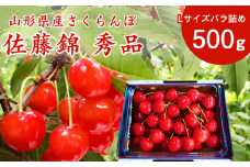 【先行予約】令和8年産 山形県産 こだわり農家の新鮮 さくらんぼ 500g Lサイズ 秀品「佐藤錦」 生産者直送 【2026年5月下旬頃から6月中旬頃発送予定】※ 配送不可 沖縄・離島　 015-A-JF031