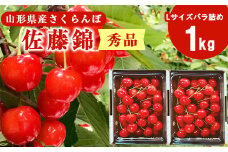 【先行予約】令和8年産 山形県産 こだわり農家の新鮮 さくらんぼ 1kg（500g×2パック） Lサイズ 秀品「佐藤錦」 生産者直送 【2026年5月下旬頃から6月中旬頃発送予定】※ 配送不可 沖縄・離島　026-A-JF032