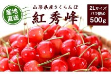 【先行予約】令和8年産 山形県産 こだわり農家の新鮮 さくらんぼ 500g 2Lサイズ 秀品「紅秀峰」 生産者直送 【2025年6月中旬頃から6月下旬頃】※ 配送不可 沖縄・離島　020-A-JF022