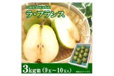 【道の駅厳選】山形県産 令和7年産 ラ・フランス 3kg 2L - 3L ( 9 - 10玉)【2025年10月下旬頃から11月下旬頃配送予定】　013-B-CS012