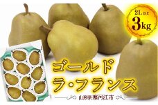 希少な金系 ゴールド ラ・フランス 3kg（8～11玉）2Lサイズ以上 サイズおまかせ 山形産 2025年産 令和7年産 【2025年11月上旬頃～12月下旬頃発送予定】  015-B-OT003