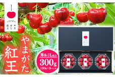 【先行予約】さくらんぼ 「やまがた紅王」3Lサイズ以上 秀品 300g（100g×3）化粧箱 ダイヤパック 2026年産 令和8年産 山形県産 【2026年6月中旬頃～下旬頃発送予定】 ※配送不可 沖縄・離島 024-A-SW002