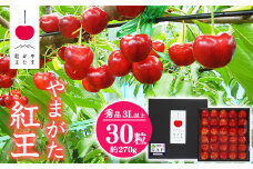 【先行予約】 さくらんぼ 「やまがた紅王」3Lサイズ以上 秀品 30粒（約270g）化粧箱入り 2026年産 令和8年産 山形県産 【2026年6月中旬頃～下旬頃発送予定】 ※配送不可 沖縄・離島 040-A-SW004