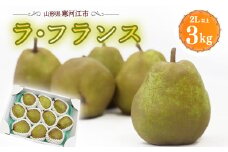 厳選 ラ・フランス 3kg（8～11玉）2L以上 山形県産 2025年産 令和7年産 【2025年11月上旬頃～12月下旬頃発送予定】 012-B-OT001