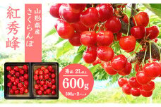 【先行予約】さくらんぼ 「紅秀峰」2Lサイズ以上 秀品 600g（300g×2） 化粧箱入り 2026年産 令和8年産 山形県産 【2026年6月中旬頃～7月上旬頃発送予定】 ※配送不可 沖縄・離島 024-A-SW001