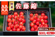 【先行予約】令和8年産 特秀品 さくらんぼ「 佐藤錦 」600g (300g×2パック) Lサイズ以上 2026年産 山形県産 【2026年6月上旬頃～下旬頃発送予定】 ※配送不可 沖縄・離島 026-A-AF002