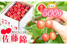 《先行予約》 令和8年産 山形の さくらんぼ  「 佐藤錦 」 500g 秀品 L以上 山形県産 2026年産【2026年6月上旬頃～6月下旬頃発送予定】 ※配送不可 沖縄・離島 021-A-JA043