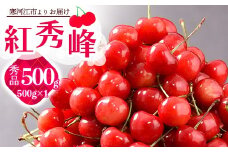 《先行予約》 令和8年産 山形の さくらんぼ 「 紅秀峰 」 500g 秀品 2L以上 山形県産 2026年産 【2026年6月中旬頃～7月上旬頃発送予定】 ※配送不可 沖縄・離島 023-A-JA046