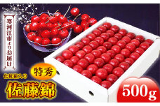 《先行予約》 令和8年産 さくらんぼ 「 佐藤錦 」特秀品 500g Lサイズ 化粧箱入 山形県産 2026年産【2026年6月上旬頃から6月下旬頃発送予定】 ※配送不可 沖縄・離島 072-A-MM006