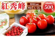 《先行予約》令和8年産 さくらんぼ 「紅秀峰」 秀品 500g L~2Lサイズ 山形県産 2026年産 【2026年6月中旬頃～7月上旬頃発送予定】 ※配送不可 沖縄・離島 018-A-MM007