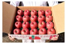 《ご自宅用》りんご「サンふじ」5kg（20玉）山形県産【2025年12月上旬頃～下旬頃発送予定】　012-B-HK007
