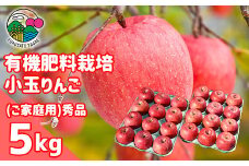 《ご自宅用》りんご「サンふじ」秀品 5kg（24玉） 小玉サイズ【2025年12月上旬頃～下旬頃発送予定】　012-B-HK008