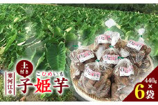 令和7年産 里芋 「子姫芋（こひめいも）土付」2.6kg以上 （440g×6袋） 山形県産 2025年産【2025年9月下旬頃から11月上旬頃配送予定】　014-B-CS001