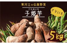 やまがた伝統野菜 「子姫芋（里芋）」5kg 《土付き》 山形県産 令和7年産 【2025年11月中旬頃から順次発送予定】　018-B-MM038